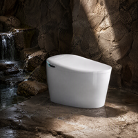 WC intelligent certifié CE, monobloc en céramique, avec bidet intégré, siège chauffant, chasse d'eau automatique, télécommande et sécheur d'air