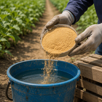 Poudre d'oligosaccharides d'alginate de haute pureté, synergiste multifonctionnel, facile à mélanger et à doser pour application foliaire et racinaire