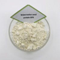 Extrait de graines de pastèque de haute qualité, extrait végétal naturel pur, poudre de protéines de graines de pastèque à 60% 70%