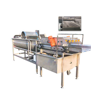 อุปกรณ์ล้างกระแสวนใหญ่อัตโนมัติสำหรับเครื่องยนต์แกนผลไม้สำหรับโรงงานแปรรูปผัก-สำหรับการปอกมันฝรั่งขิง - Product Image 1