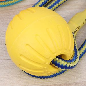 Balle à mâcher moderne de luxe pour animaux de compagnie en mousse EVA avec corde colorée – Nettoyage des dents – Vente directe usine – Plusieurs couleurs disponibles - Product Image 2