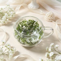 Tasse en verre ronde créative avec poignée, vase à fleurs en verre transparent, mug pour la décoration de la maison, souvenir, cadeau, verre à double paroi