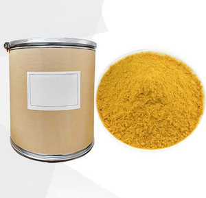 Tự nhiên bí ngô bột cung cấp số lượng lớn bí ngô bột trái cây chất lượng cao cucurbita pepo bột cucurbita pepo chiết xuất - Product Image 5