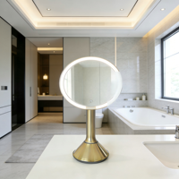 Miroir de salle de bain ZIHAN en acier inoxydable argenté 9'' à hauteur réglable, moderne, avec 3 LED HD, alimenté par batterie, finition dorée brossée