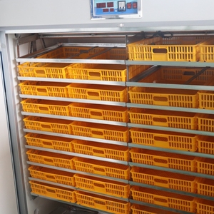 Gà Vịt Ngỗng Chim Cút Chim Bồ Câu Lồng Ấp Để Ấp Trứng Hoàn Toàn Tự Động Đầy Đủ Tự Động Lồng Ấp Trứng Phụ Tùng Máy Ấp Trứng - Product Image 6