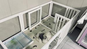 Clôture pour chien de petite et moyenne taille transparente <span class=keywords><strong>2026</strong></span>, <span class=keywords><strong>cage</strong></span> pour animaux de compagnie d'intérieur avec fermeture à bouton, fonction anti-évasion, en plastique et verre - Product Image 3