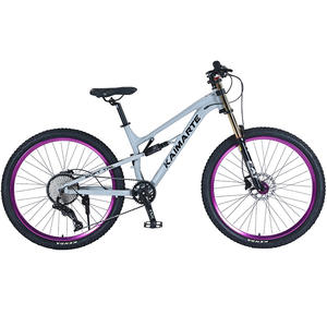 Directo de fábrica Downhill Mountain <span class=keywords><strong>Bike</strong></span> 27,5 Aleación de aluminio Soft Tail Blueprint 21 Velocidad Disco Freno Amortiguador Disco de aceite - Product Image 5