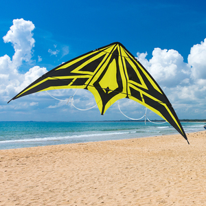 beach kite two line power parafoil kite sport stronger power kites for training and flying