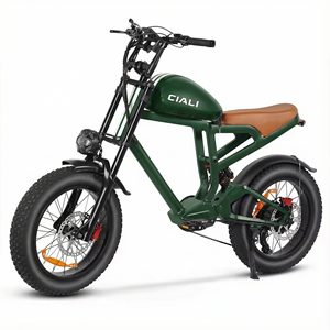 Xili Sports 48v 750w 19.2ah Vintage Style <strong>Chopper</strong> Ebike Urban Retro Electric Bike - Product Image 4