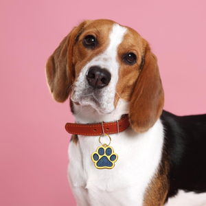 Cute and Fashionable Rectangular Dog <b>Tag</b> Footprint Glitter Zinc Alloy Pet Supplies Dog Anti-lost Custom Engraving Pet Collar <b>Tag</b> - Product Image 5