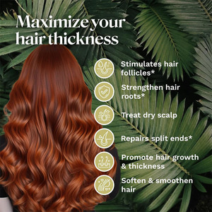 Aceite de Batana 100% Natural a Base de Queratina con Aceite Esencial de Romero, Hidratante y Suavizante para las Raíces del Cabello, Promueve el Crecimiento y la Espesor - Product Image 5