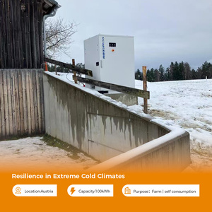 Batería de Contenedor Bess de 100 kWh, 241 kWh, 261 kWh, Sistema de Paneles Solares Comerciales, Batería de Iones de Litio de Grado Industrial para Almacenamiento de Energía - Product Image 4