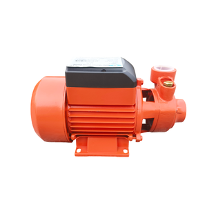 Bomba de Agua Periférica de Hierro Fundido <span class=keywords><strong>Pedrollo</strong></span> QB60 con Energía Solar, Motor de Cobre para Agua Limpia y Aguas Residuales Agrícolas, Garantía CE OEM - Product Image 6