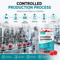 Gummies de créatine monohydrate directement de l'usine pour hommes et femmes, 3g, saveur naturelle Punch aux baies, pour la croissance musculaire et la récupération post-entraînement