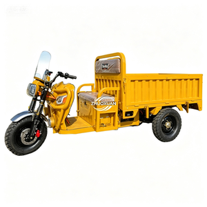 Vehículo de Tres Ruedas con Motor Eléctrico de Tipo Abierto - Product Image 1