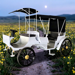 Chariot de princesse Cendrillon électrique populaire à 4 roues pour mariages et visites touristiques, pour 4 à 6 personnes - Product Image 1