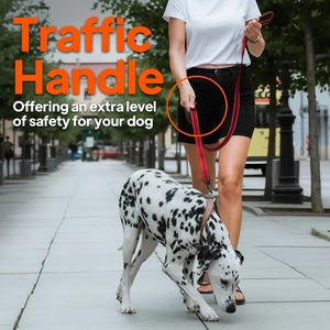 Twoear 6Ft 1In Laisse de chien verte solide avec 2 poignées rembourrées, contrôle supplémentaire de la poignée de trafic, double poignée souple confortable, Auto - Product Image 6