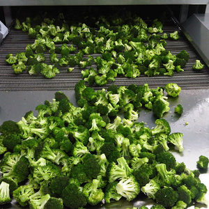 آلة تجميد النفق العميق الصناعية مع تجميد سريع للأوراق الخضراء - Product Image 5