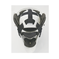 Nouveau produit vis en fibre de carbone visière personnalisée casque de hockey visage de gardien casque de hockey polaire