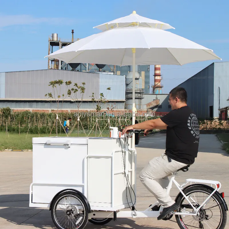 Мороженое велосипед с охлаждающей коробкой 258L freezerTricycle трехколесный велосипед для мороженого мобильный Электрический велосипед