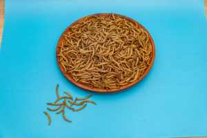 All'ingrosso aggiungere cibo per cani ad alto contenuto proteico e sgrassato in polvere snack per cani per trattare con cani - Product Image 3