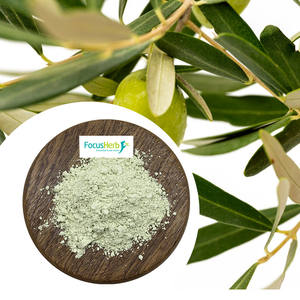FocusHerb - Extracto de Hoja de Olivo en Polvo, Precio de Fábrica, Venta al por Mayor, 10%-30% de Ácido Maslinico, Almacén en EE. UU. - Product Image 2