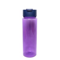 Bouteille d'eau avec infuseur à fruits sans BPA, avec filtre, anti-fuite, bouteille de sport en plastique pour thé détox, jus