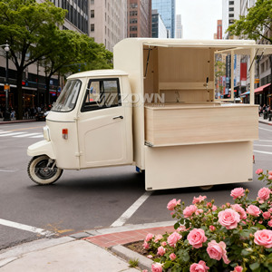 Direct-from-Factory Electric Tricycle Food Cart Design Construction 2-Year Warranty for Hamburger Pizza BBQ - Product Image 3