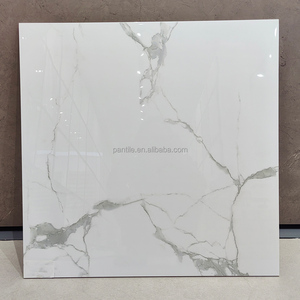 Carreaux de porcelaine blancs modernes pour salon, sol et murs intérieurs, carreaux de luxe en céramique pour sol 60x60 - Product Image 1