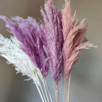 Bunga Rumput Pampas Kering Segar 4-5 Tangkai Per Bundel untuk Dekorasi Rumah, Natal, Pernikahan, dan Fotografi
