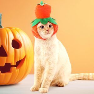 Cute <strong>Cat</strong> Pet Costume Pumpkin Print Solid Cotton Kitten <strong>Halloween</strong> Festival Head Accessory Funny Pumpkin Pet Headgear - Product Image 5
