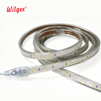 Bande lumineuse LED double rangée pour extérieur et intérieur, étanche IP65, 17x7mm, PVC flexible, haute luminosité