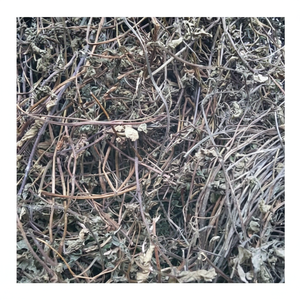 วัตถุดิบในการทำวุ้นหญ้าวุ้นหญ้าแห้งธรรมชาติวุ้นหญ้าแห้ง mesona chinenis หญ้าแห้งสำหรับต้นกำเนิดของหวานในเวียดนาม - Product Image 1