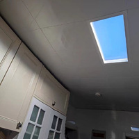 Puits de lumière artificiel tendance avec angle de soleil optimal à 45 °, simulation de ciel bleu clair pour un éclairage de rythme circadien centré sur l'humain