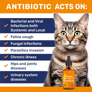 <span class=keywords><strong>Gotas</strong></span> Antibióticas Personalizadas para Mascotas, Fórmula Veterinaria OEM a Granel para Perros y Gatos, Alivio Dirigido a la Infección, Servicio de Marca Privada - Product Image 2