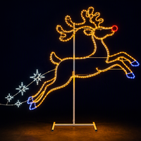 Guirlandes lumineuses LED personnalisées, affichage de motifs 2D, éclairage décoratif extérieur pour centre commercial, parc à thème, exposition commerciale, festival