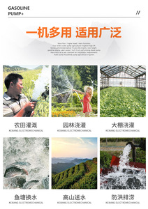 ปั๊มน้ำมันเบนซิน 8.5 แรงม้า สีส้ม แบบพกพา สำหรับใช้งานทางการเกษตร - Product Image 5