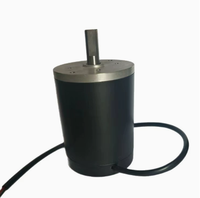 Moteur à courant continu à aimant permanent à couple élevé pour plateau tournant de four à micro-ondes et support rotatif d'affichage 4-10W 5/6 tr/min