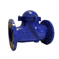 Clapet anti-retour à bille coulissant en fonte ductile GGG50 HQ41X PN16 à brides pour conduite d'eau usée DN50 DN300