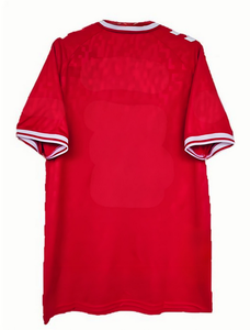 2425 fordenmark nhà và đi cầu thủ phiên bản Fan Edition Jersey với tên và số in trên nó bóng đá Áo sơ mi - Product Image 2