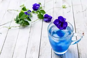مصنع شاي عضو الجملة المجففة شاي بالأعشاب المزهرة المجففة فراشة البازلاء زهرة الأزرق فراشة الشاي