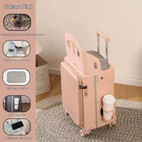 Valise à roulettes pour enfants, cadre en aluminium, design tendance, certifiée CE, 4 roues, serrure TSA, ultra-légère, grande capacité, rigide