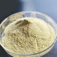 Enzyme Alpha Amylase Fongique Industrielle pour la Fermentation Alcoolique et la Transformation Alimentaire