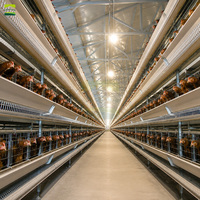 Solution clé en main pour ferme avicole de 250 000 poulets – Équipement d'élevage de poulets de chair entièrement automatique pour grande installation commerciale de poulets de chair