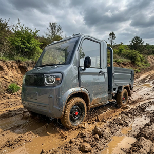Veicolo Elettrico Conforme EEC, <span class=keywords><strong>Auto</strong></span> Elettrica a Quattro Ruote, Mini Pickup per Trasporto Merci, 45km/h, Cabina Chiusa, in Vendita - Product Image 1
