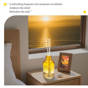 Diffuseur d'huile de parfum de qualité supérieure de marque de distributeur avec bâton - Product Image 4