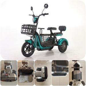 High Quality Products New Style 600W 48V Open Body 3 Wheel Electric Tricycle - Product Image 6