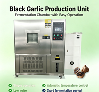 Machine de Fermentation d'Ail Noir à Faible Bruit et Circulation d'Air Silencieuse pour un Espace de Traitement Alimentaire Propre