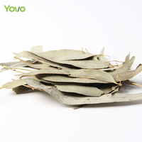 Daun Eucalyptus Kering Grosir Pabrik, Daun Eucalyptus Panjang Kering untuk Dekorasi, Pembuatan Lilin, Kerajinan Tangan, Bahan DIY