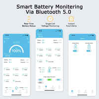 Batterie LiFePO4 rechargeable 12V 24V 48V 100Ah 200Ah 300Ah 400Ah 600Ah à succès pour système solaire domestique